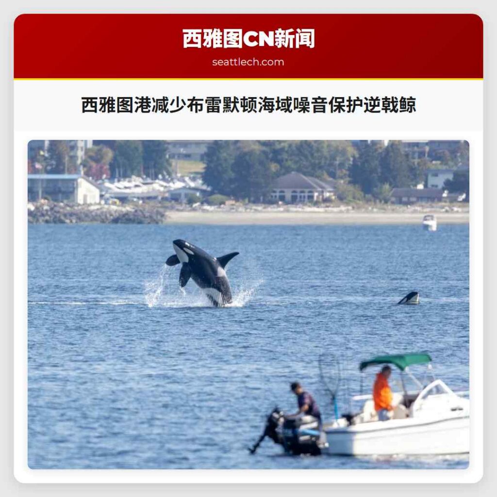 西雅图港减少布雷默顿海域噪音保护逆戟鲸