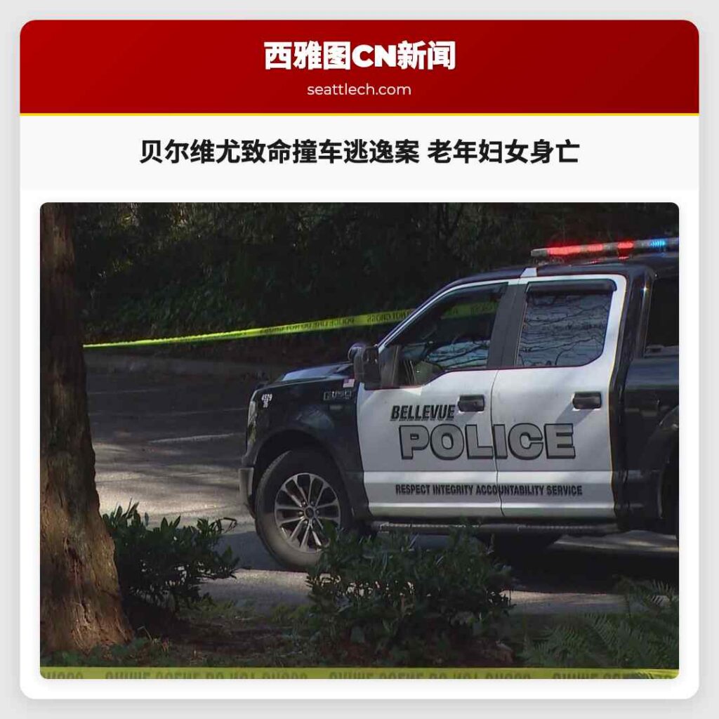 贝尔维尤致命撞车逃逸案 老年妇女身亡