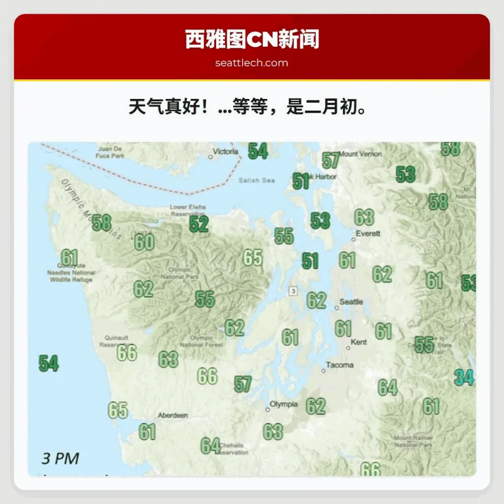 天气真好！…等等，是二月初。