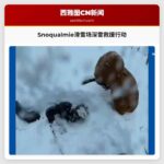 雪道惊魂：Snoqualmie滑雪场深雪救援纪实