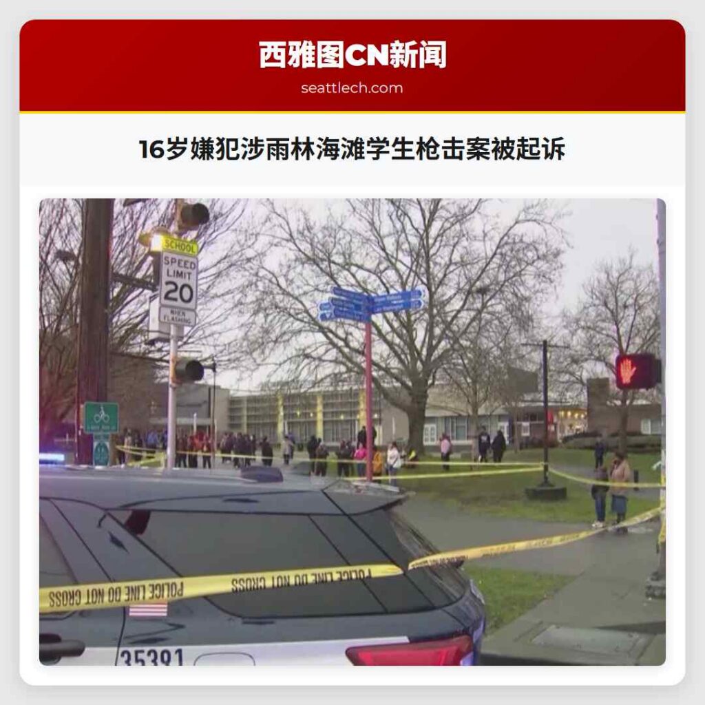 16岁嫌犯涉雨林海滩学生枪击案被起诉