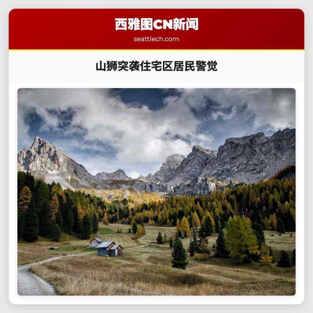 山狮突袭住宅区居民警觉