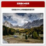 华盛顿伦顿市医疗中心遭炸弹威胁 警方联合排查确认安全