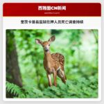 奎茨卡普县监狱在押人员死亡调查持续进行