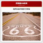 帕萨多安全庇护所紧急救助17只被遗弃猫咪