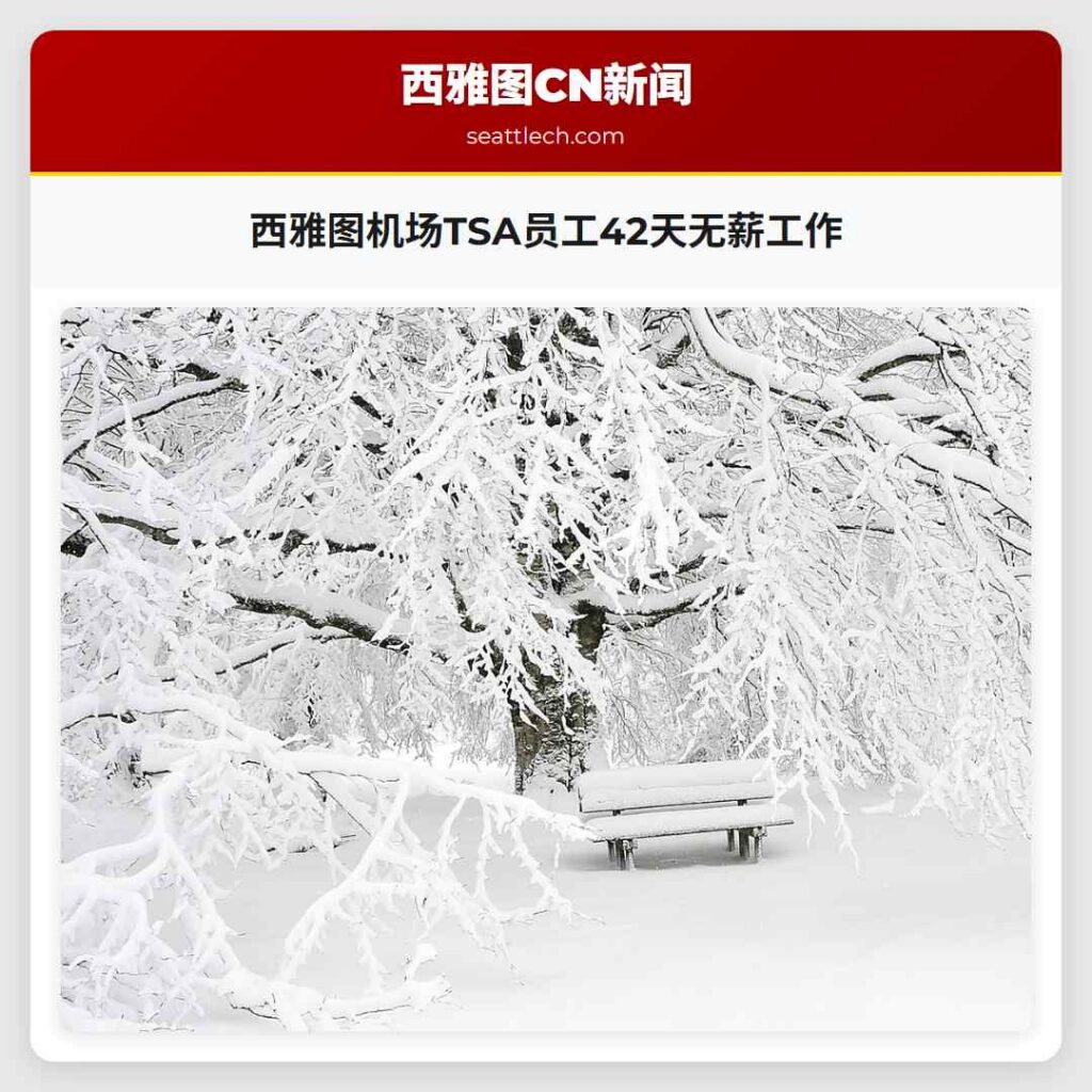 西雅图机场TSA员工42天无薪工作