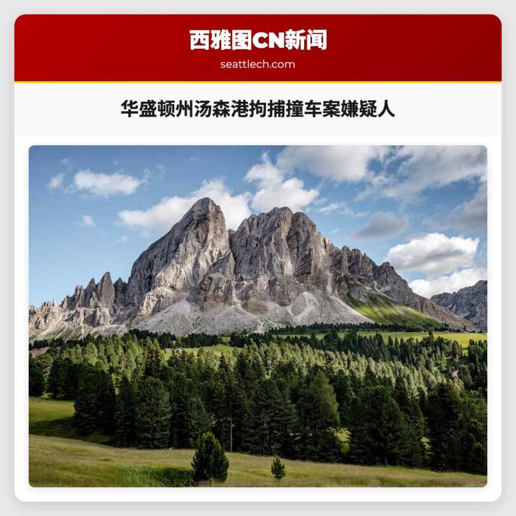 华盛顿州汤森港拘捕撞车案嫌疑人