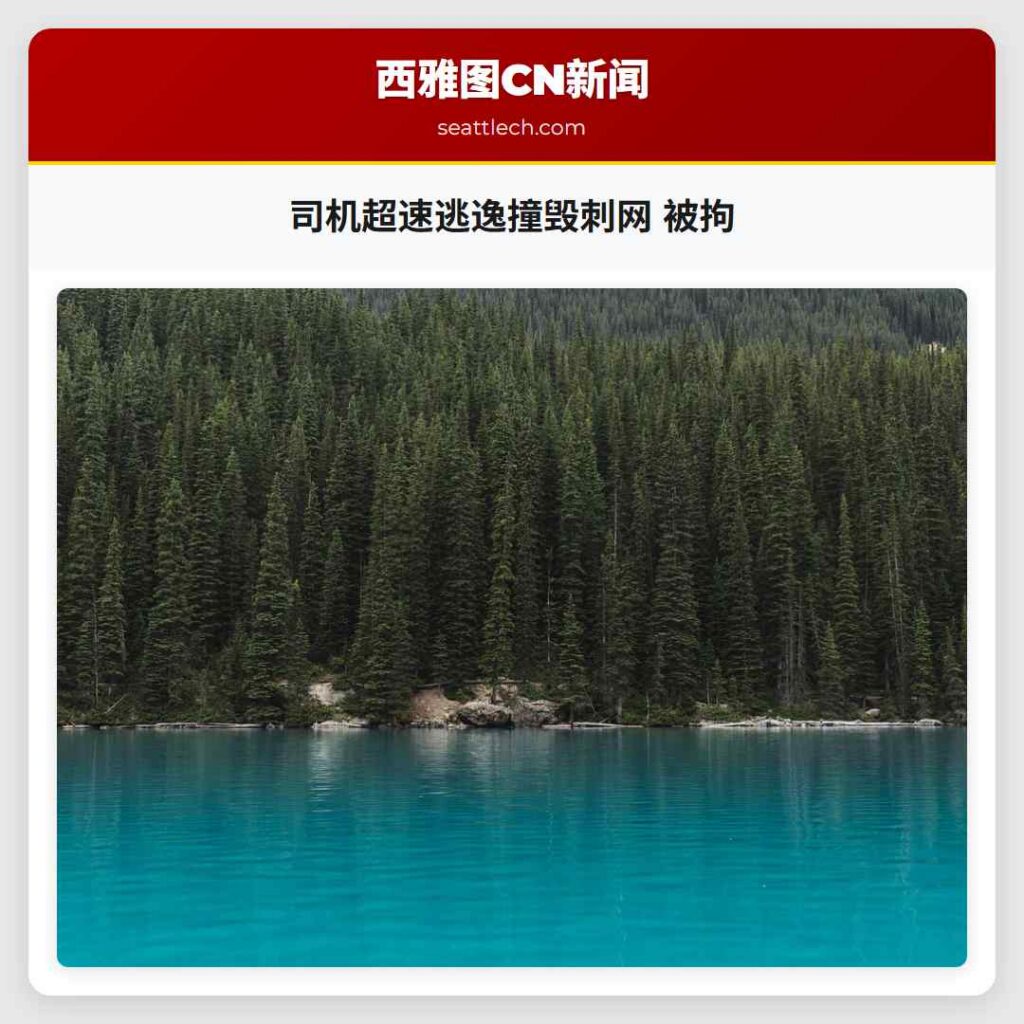 司机超速逃逸撞毁刺网 被拘