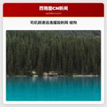 司机超速逃逸被拘 逃亡途中撞毁刺网