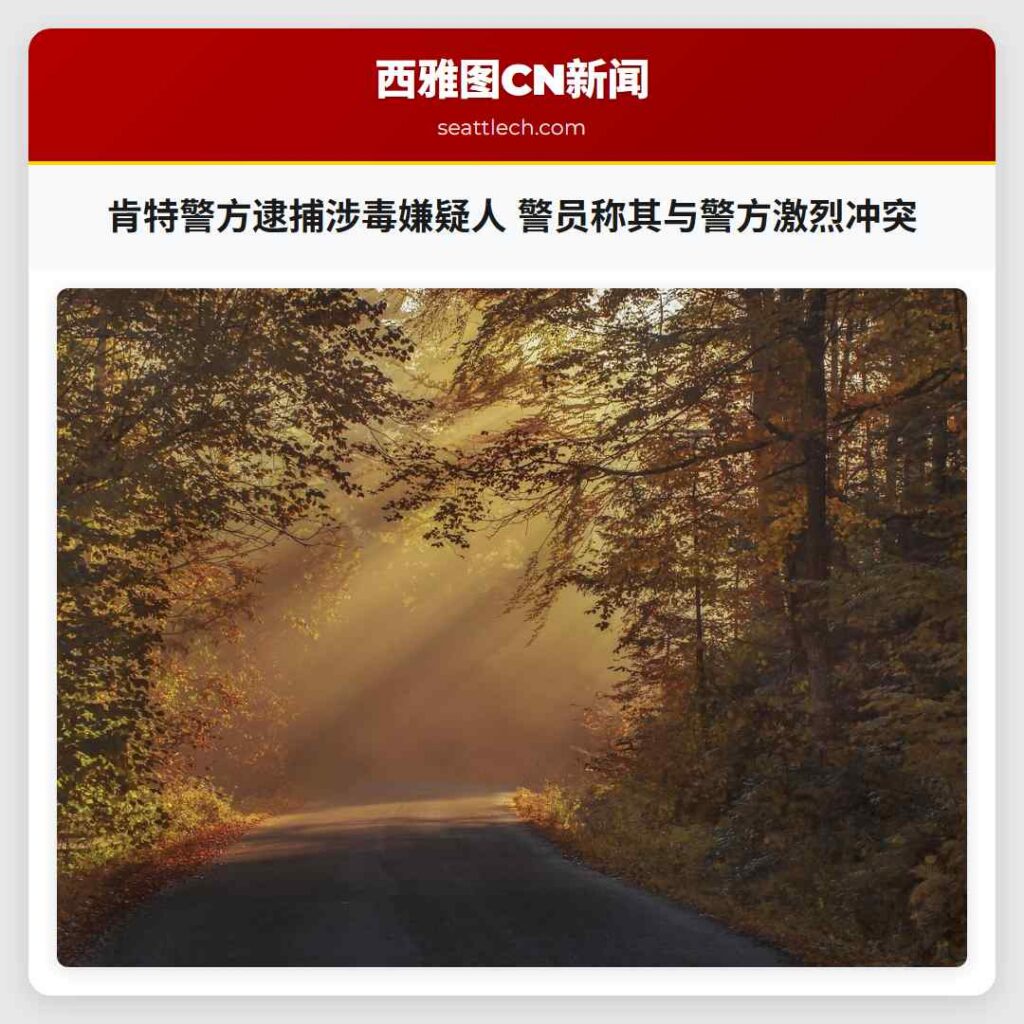 肯特警方逮捕涉毒嫌疑人 警员称其与警方激烈冲突