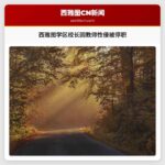 西雅图斯基科米什学区校长因教师性侵指控被停职