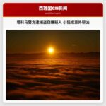 哥们，我能带走我的小猫吗?塔科马警方逮捕汽车盗窃嫌疑人，小猫成意外帮凶