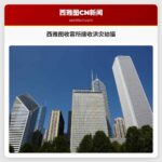 西雅图收容所接收欧胡岛洪灾中救出的幼猫