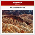 金县治安官发布执法视频 女司机遇阻拦后撞车被拘