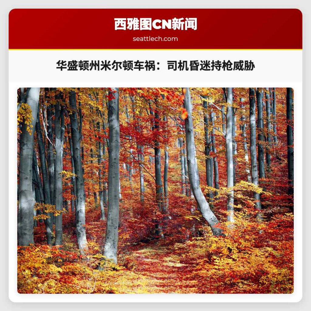 华盛顿州米尔顿车祸：司机昏迷持枪威胁