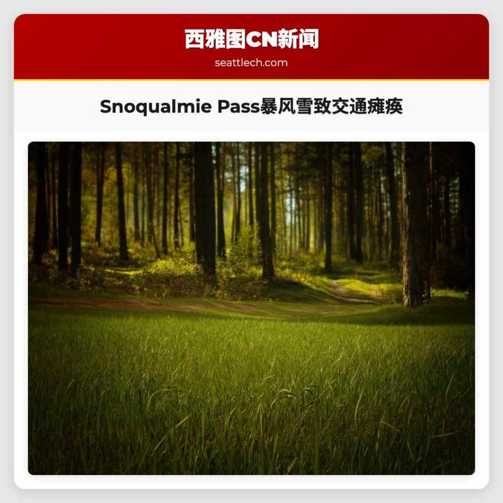Snoqualmie Pass暴风雪致交通瘫痪