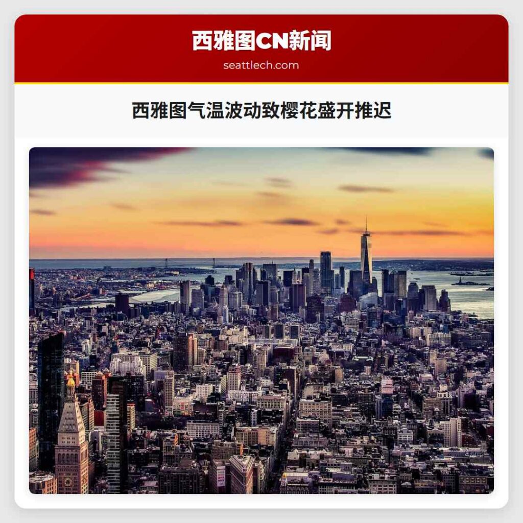 西雅图气温波动致樱花盛开推迟