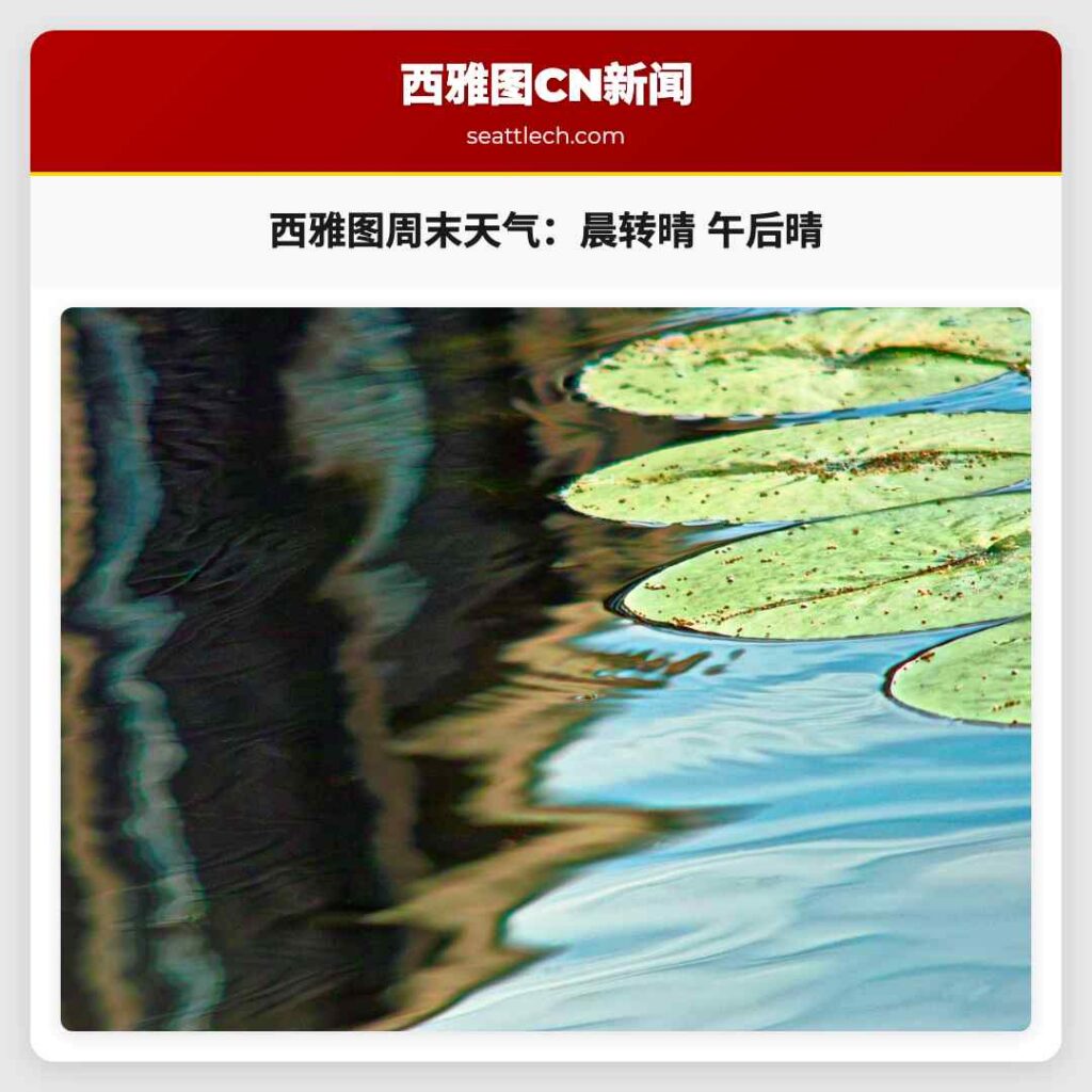 西雅图周末天气：晨转晴 午后晴