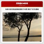 加拿大航空跑道事故黑匣子成功寻获 两名飞行员不幸遇难