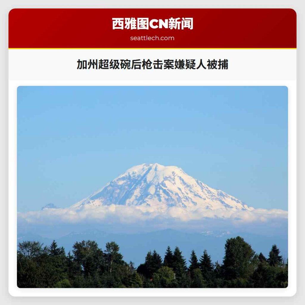 加州超级碗后枪击案嫌疑人被捕