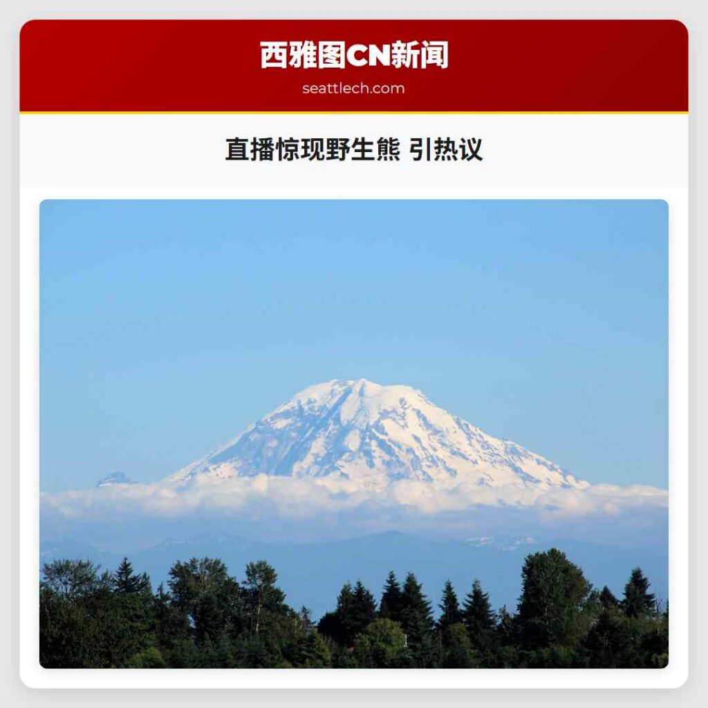 直播惊现野生熊 引热议