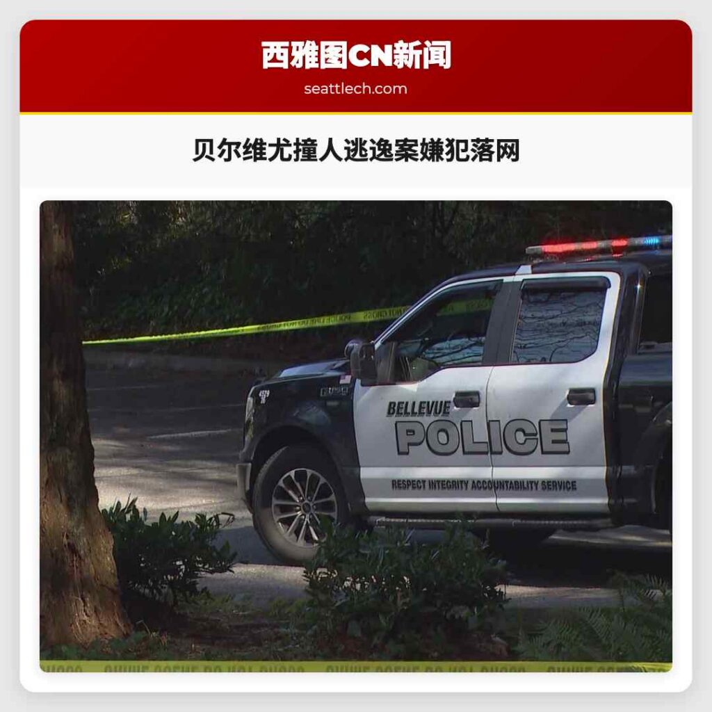 贝尔维尤撞人逃逸案嫌犯落网