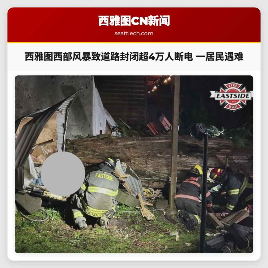 西雅图西部风暴致道路封闭超4万人断电 一居民遇难