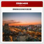 德梅因动物救援队：枪击伤海豹恢复迹象显著