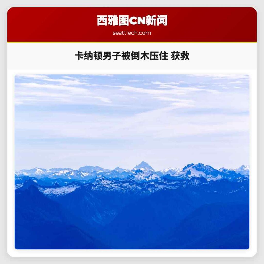 卡纳顿男子被倒木压住 获救