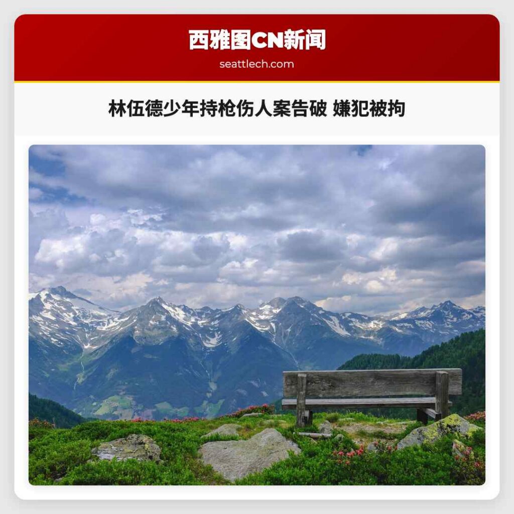 林伍德少年持枪伤人案告破 嫌犯被拘