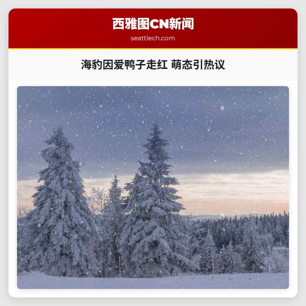 海豹因爱鸭子走红 萌态引热议