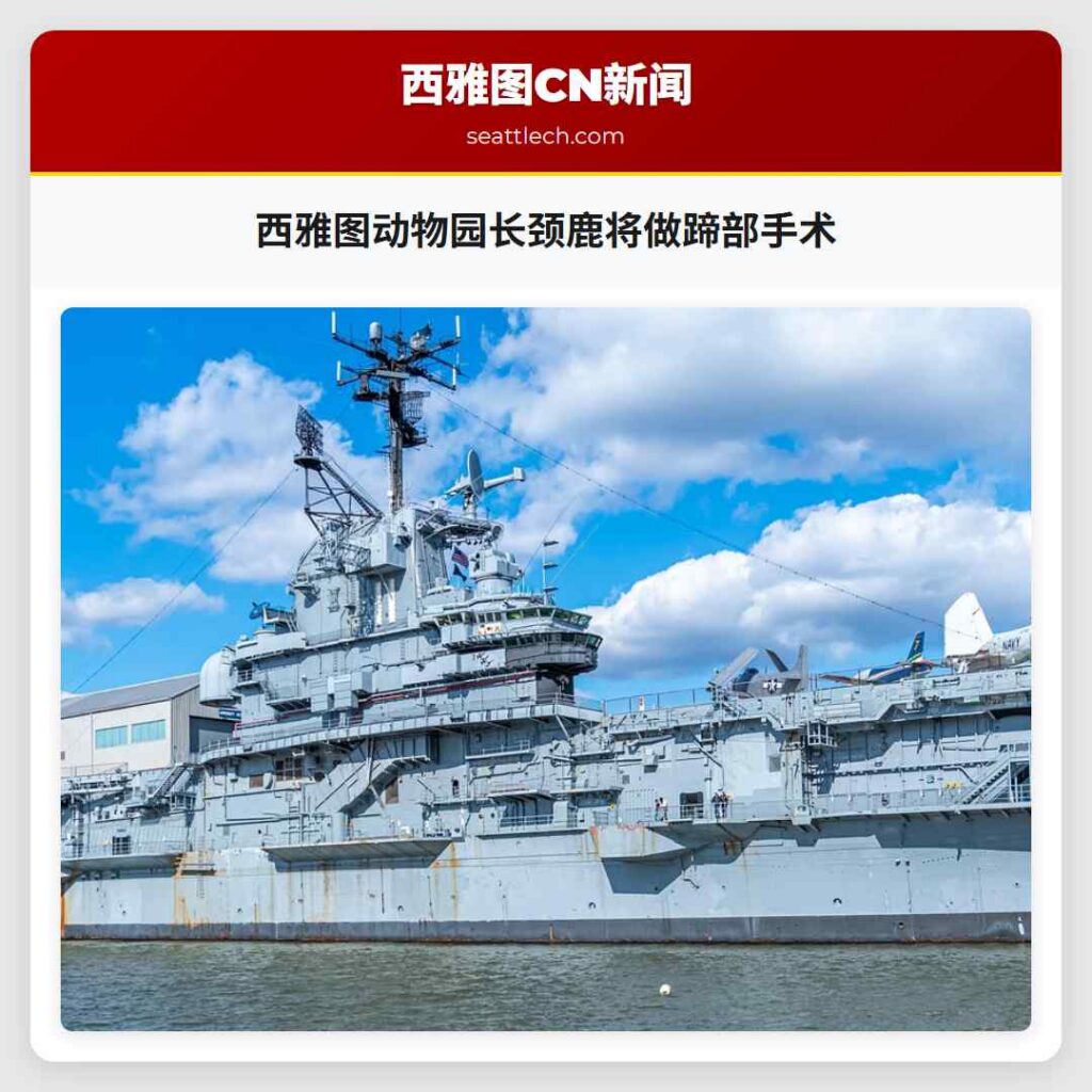 西雅图动物园长颈鹿将做蹄部手术