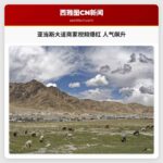 我完了：亚当斯大道商家爆红视频带动人气