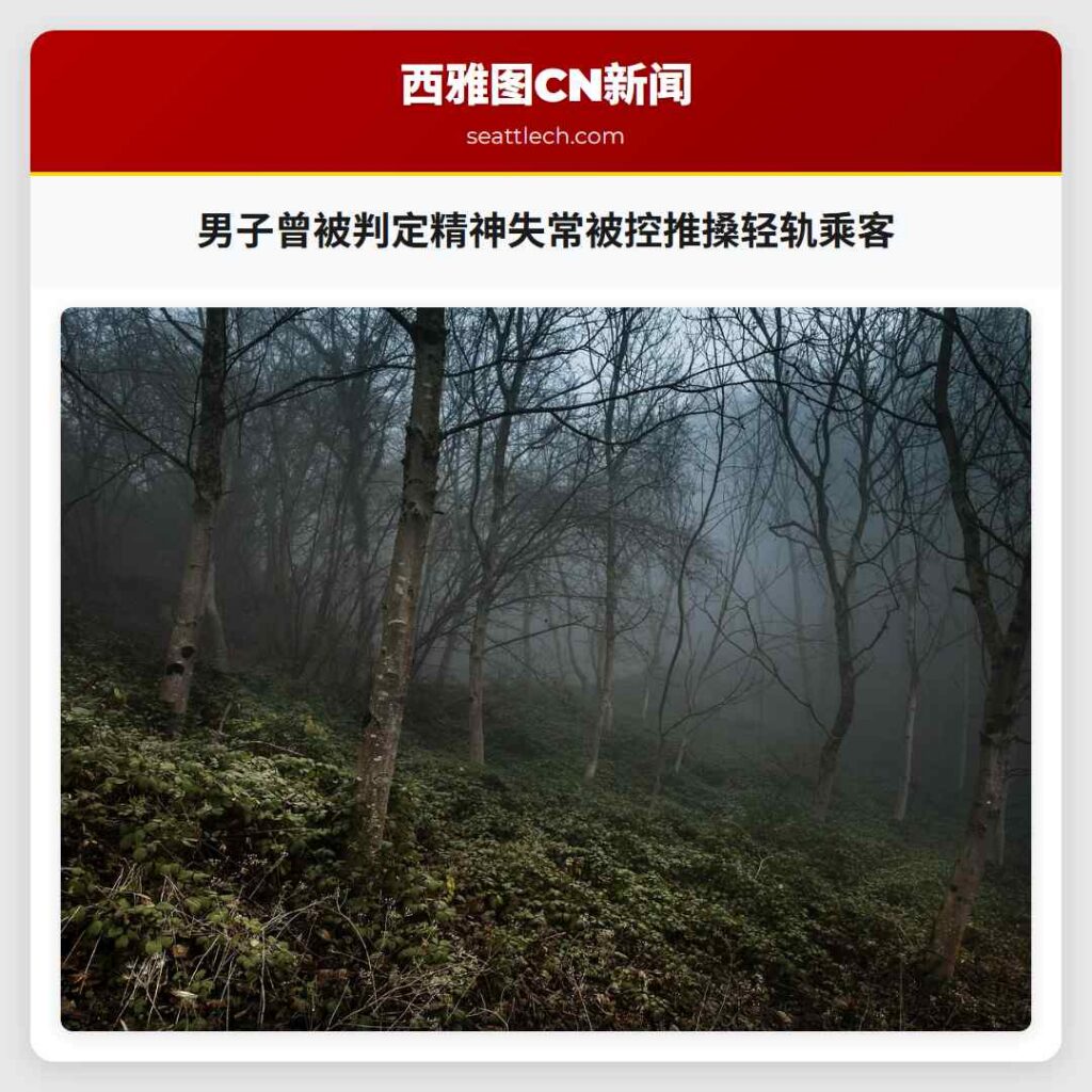 男子曾被判定精神失常被控推搡轻轨乘客