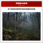 男子曾被判定精神失常被控试图推搡西雅图轻轨乘客