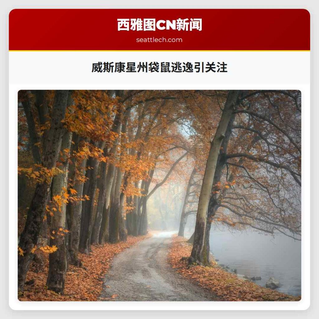 威斯康星州袋鼠逃逸引关注