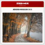 威斯康星州宠物农场袋鼠失踪引关注