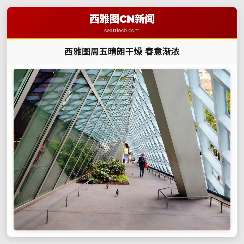 西雅图周五晴朗干燥 春意渐浓