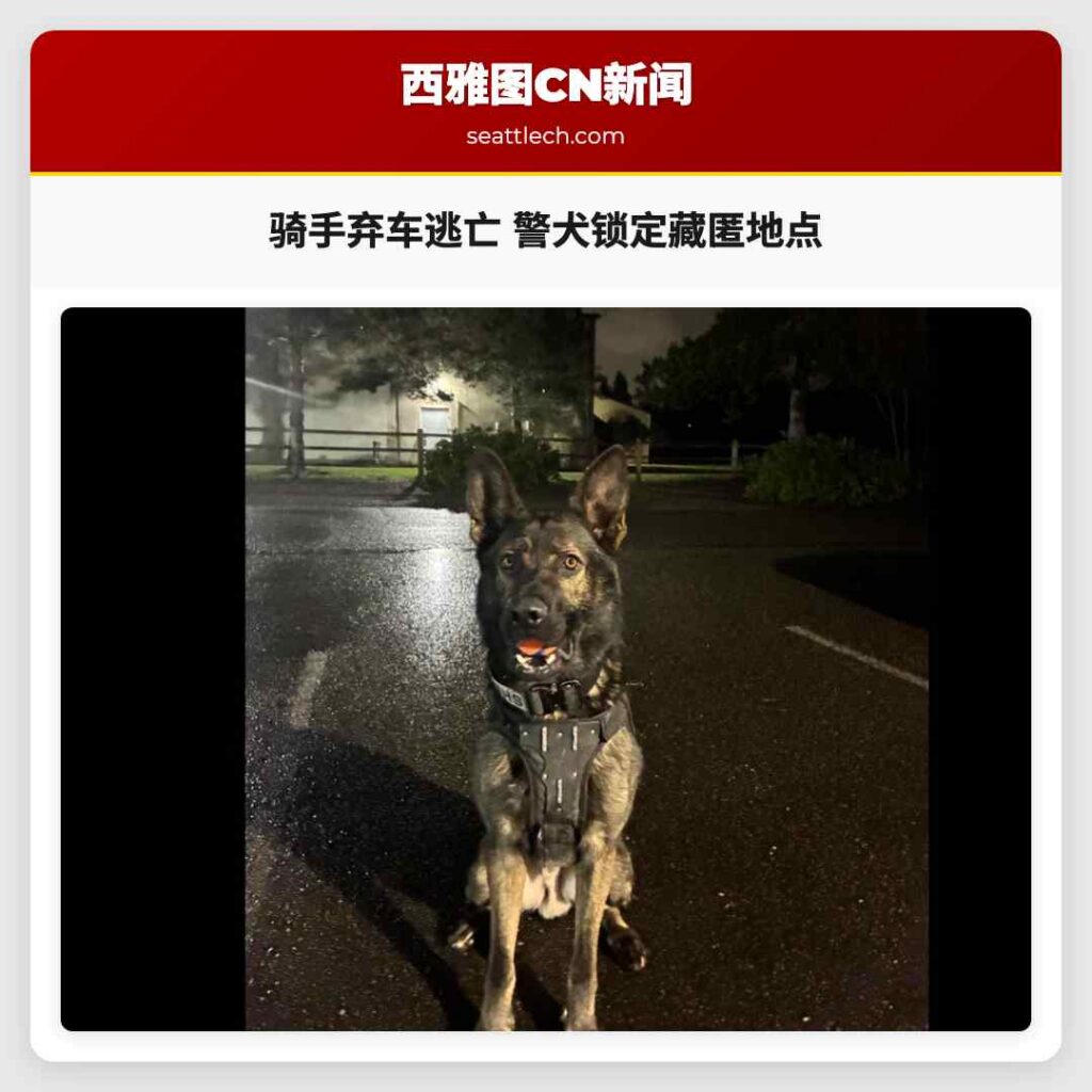 骑手弃车逃亡 警犬锁定藏匿地点