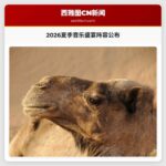 2026夏季音乐盛宴阵容正式公布