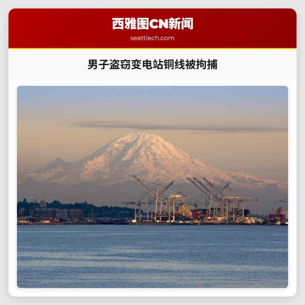 男子盗窃变电站铜线被拘捕