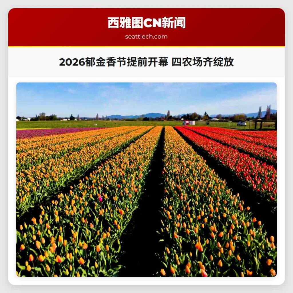 2026郁金香节提前开幕 四农场齐绽放
