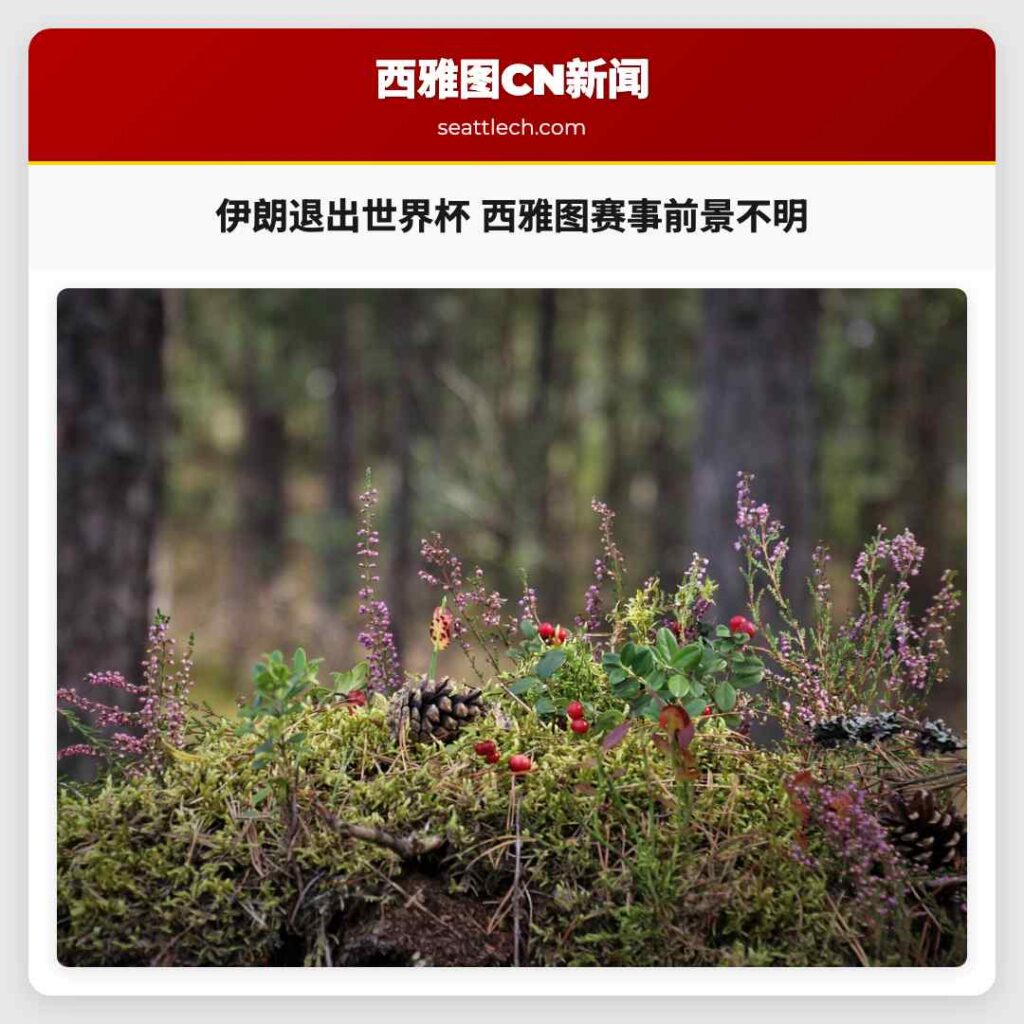 伊朗退出世界杯 西雅图赛事前景不明