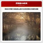 塔姆沃特警方通报黑山高中志愿者教练涉嫌性侵案