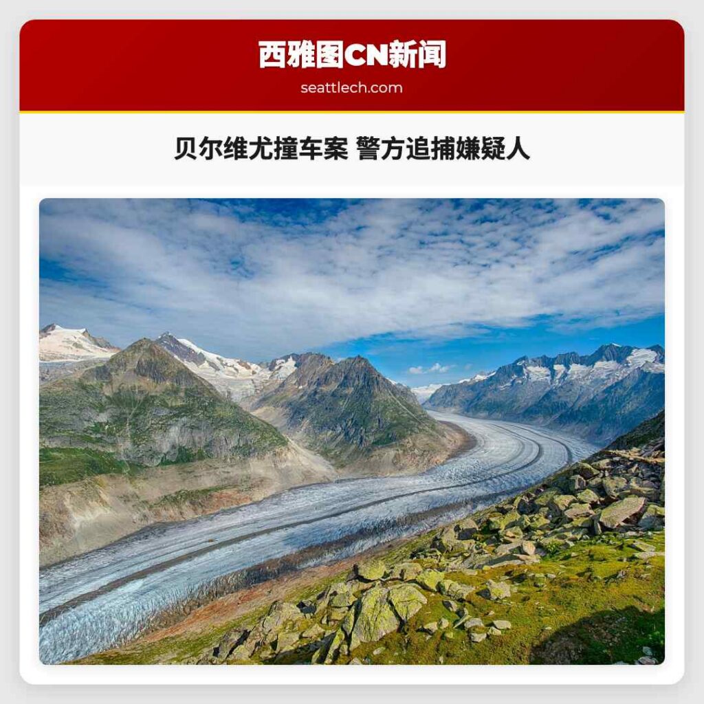 贝尔维尤撞车案 警方追捕嫌疑人