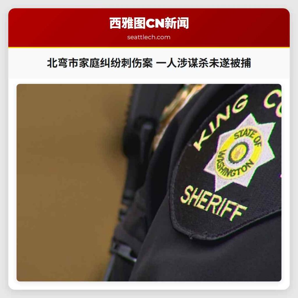 北弯市家庭纠纷刺伤案 一人涉谋杀未遂被捕