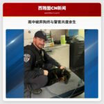 雨中被遗弃的狗终与救命警官共度余生