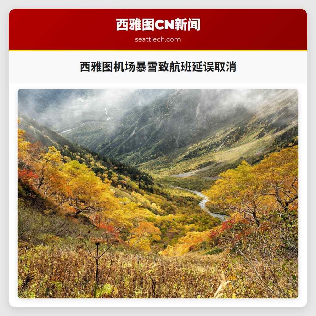 西雅图机场暴雪致航班延误取消