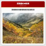 西雅图-塔科马机场暴雪致航班大面积延误与取消