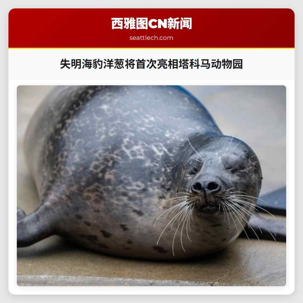 失明海豹洋葱将首次亮相塔科马动物园